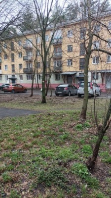 Опасные кусты 2.jpg